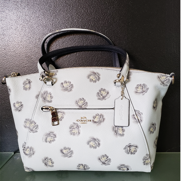 Picture - Coach Purse (Powder Blue) with white glittery flowers